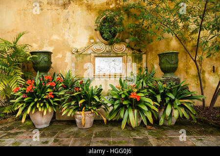 France, Menton, jardin Serre de la Madone : fountain with pots of Clivia miniata