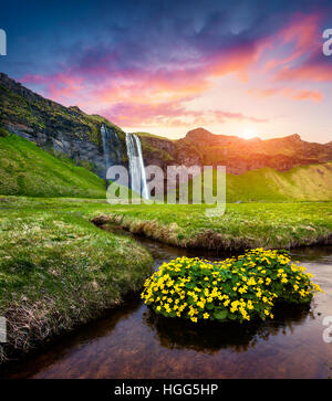 Morning view of Seljalandfoss Waterfall on Seljalandsa river in summer. Colorful sunrise in Iceland, Europe. Stock Photo