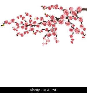 Branch of a blossoming cherry tree. EPS 10 Stock Vector
