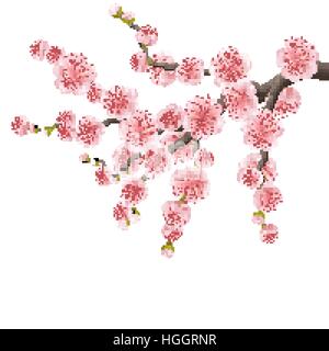 Spreading branch of pink cherry blossom. EPS 10 Stock Vector