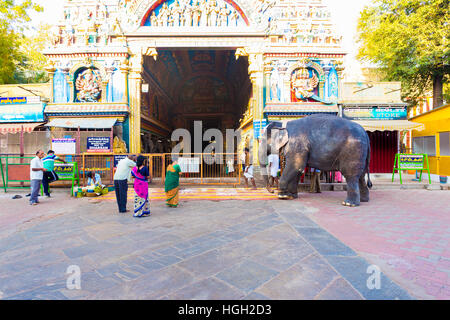 Hindu worshipers bow to a large resident elephant entering the gateway entrance at Meenakshi Amman Temple in the morning Stock Photo