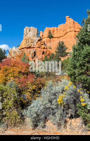 Autumn landscape, Dixie National Forest, Utah, USA Stock Photo