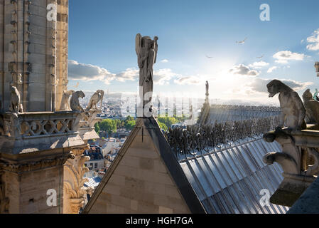 Statues of Angel and Chimeras on the roof of Notre Dame de Paris, France Stock Photo