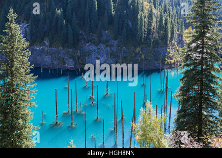 Kaindy Lake in Kazakhstan known also as Birch Tree Lake or Underwater forest. Stock Photo