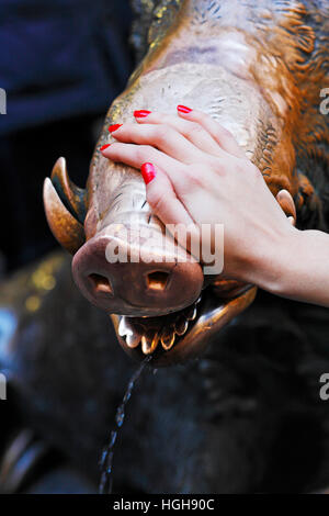 Woman hand on bronze sculpture of Wild boar in Florence by Pietro Tacca Stock Photo