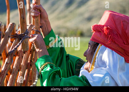 Kazakh elderly lady ties the wooden beams while building a yurt, Kazakhstan Stock Photo