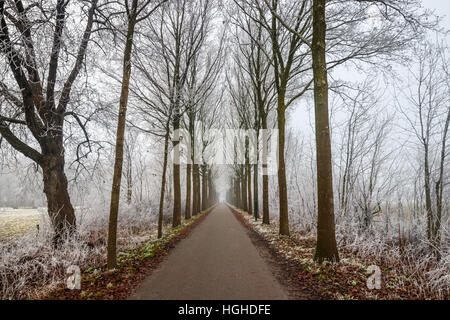 Winter scene of the Rhijnauwen estate with the hiking path 'Vagantenpad' and bald trees white of frost. Bunnik, The Netherlands. Stock Photo