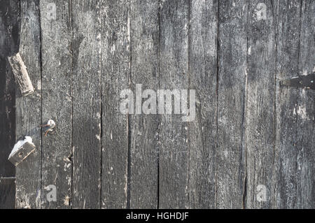 Background landscape oriented image of some vertical grunge black painted crackled and peeling silver grey weathered barn door. Shows hinge and fasten Stock Photo