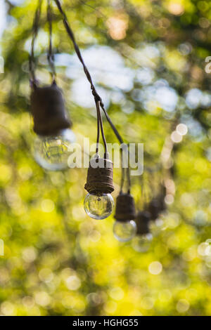 light bulbs hanging in the garden Stock Photo