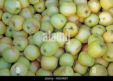 lots of green apples for sale at the greengrocer Stock Photo