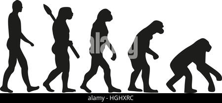 Evolution backwards Stock Photo