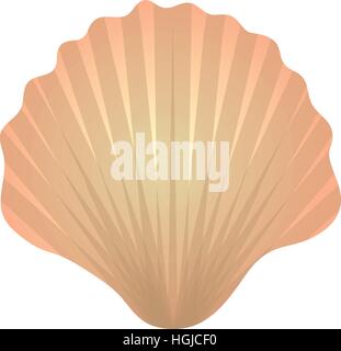 Shell icon logo element. Flat style, isolated on white background. Vector illustration, clip art. Stock Vector