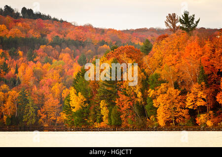 Fall colors on a forested hillside by a lake Stock Photo - Alamy