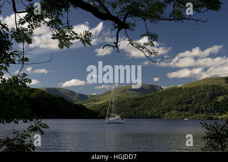 Sail boat on Lake Windermere from Claife CP area Lake District Cumbria England Stock Photo