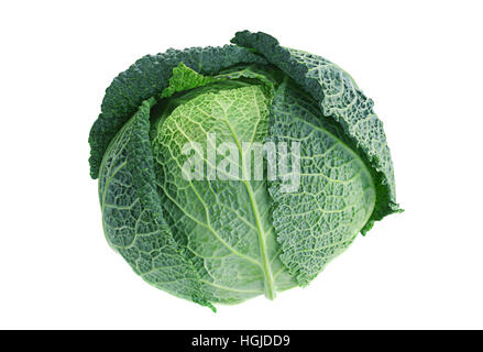 Savoy cabbage vegetable isolated on white background Stock Photo