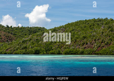 Shallow coral reef Stock Photo