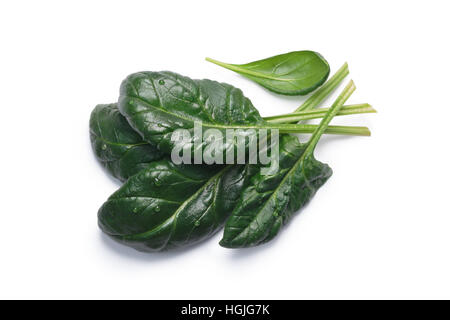 Fresh spinach (Spinacia oleracea) leaves, top view. Clipping paths, shadow separated, natural daylight color Stock Photo