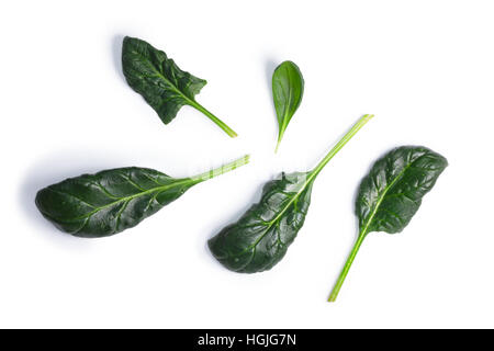 Fresh spinach (Spinacia oleracea) single leaves, top view. Clipping paths, shadow separated, natural daylight color Stock Photo
