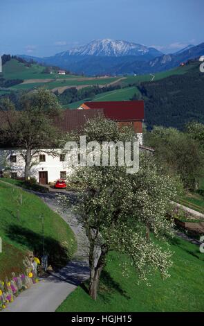 Farmhouse in the Mostviertel Region, Mostviertel Region, Lower Austria, Austria Stock Photo