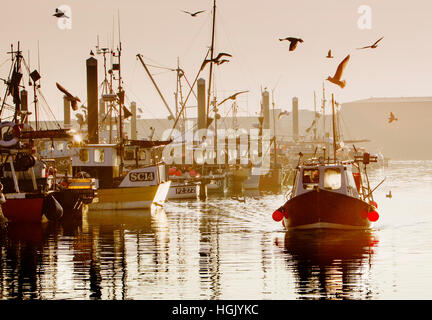 Newlyn, Cornwall, UK. 23rd Jan 2017. A fishing boat returns to Newlyn harbour on a calm and beautiful morning with the early catch of fresh mackerel. Photo by Mike Newman/Alamy Live News Stock Photo