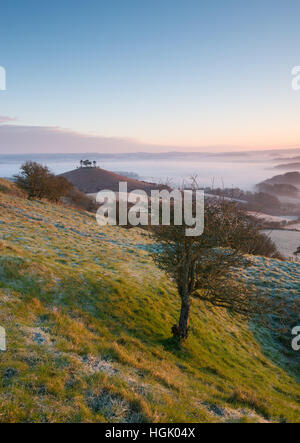 Misty sunrise at Colmers Hill, near Bridport, Dorset, UK. 23rd January 2017. A misty colourful winter sunrise at Colmers Hill looking towards Bridport. © Dan Tucker/Alamy Live News Stock Photo