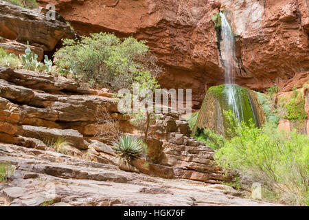 Ribbon Falls pouring over a ledge onto a large algae-covered boulder in the Grand Canyon. Grand Canyon National Park, Arizona Stock Photo
