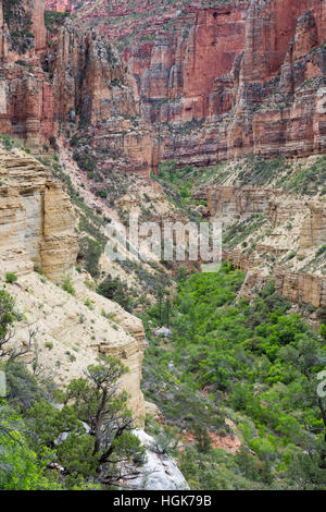 A rocky canyon cutting through the Redwall and Muav Limestone layers of the Grand Canyon. Grand Canyon National Park, Arizona Stock Photo