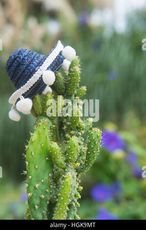 Funny cactus with blue Sombrero hat Stock Photo