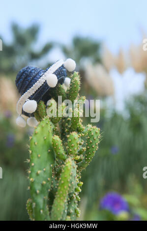 Funny cactus with blue Sombrero hat Stock Photo