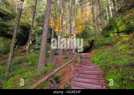 Wanderweg im Elbsandsteingebirge - Hiking trail in the Elbe sandstone mountains in fall Stock Photo