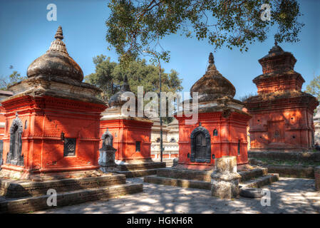 Freely walk monkey. Votive temples and shrines in a row at Pashupatinath Temple, Kathmandu, Nepal. Stock Photo