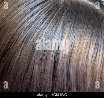 hair background Stock Photo
