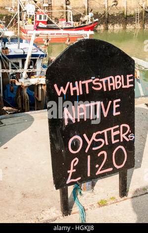 A sign at Whitstable harbour advertising Whitstable Native Oysters for sale. Stock Photo