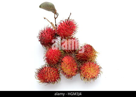 Close up of Nephelium lappaceum or also known as Rambutan fruits isolated against white background