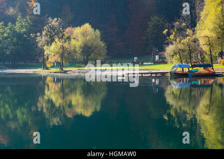 Trees reflecting in the water on the shore of lake Bled Slovenia in autumn Stock Photo