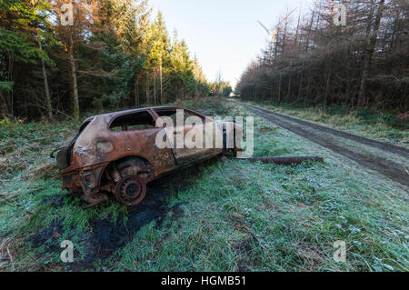 Rusted and burned-out car dumped along forest track Stock Photo