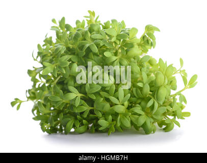 cress bunch isolated on white background Stock Photo