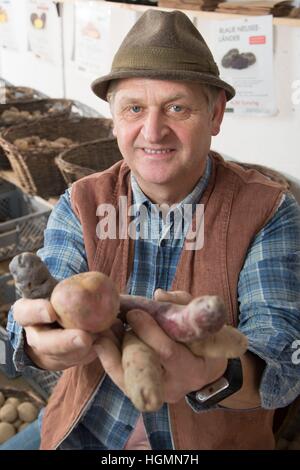 The potato famer Ulrich Guendel holds up a historical type of potato, 'Rosa Tannenzapfen' at his farm in Reichenbach im Vogtland, Germany, 10 January 2017. Guendel will present his historical potato type at the Green Weeks in Berlin, as a member of the association 'Vogtlaendischen Knollenring'. Photo: Sebastian Kahnert/dpa-Zentralbild/dpa Stock Photo