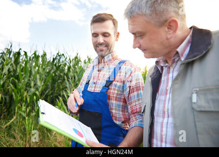 Walking on field and analyzing data Stock Photo