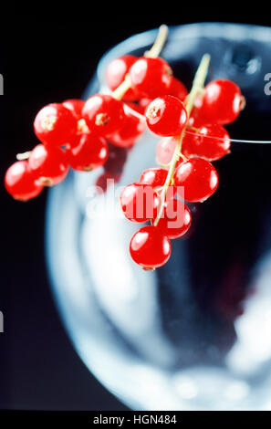 Close-up of a Glass Bowl Filled with Red Currants Stock Photo