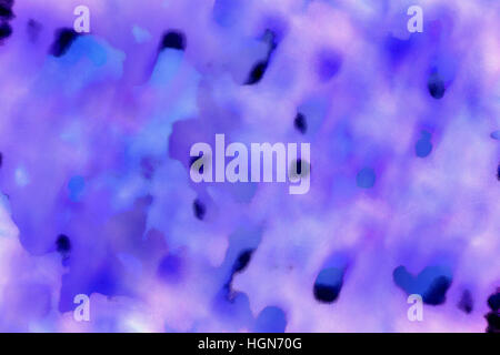 Background of a stain of the hulk on a paper a kind through crystal glass Stock Photo