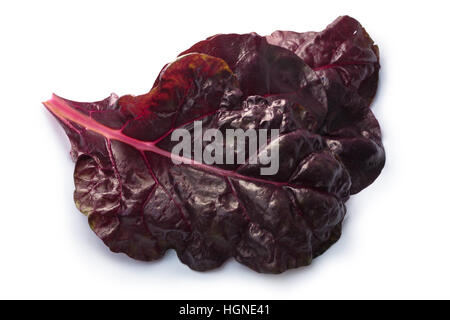 Leaves of ruby Swiss chard or Mangold (Beta vulgaris subsp. Cicla-Group). Clipping paths, shadows separated, top view, focus on foreground leaf Stock Photo