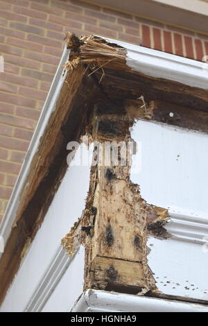 Exposed rotten wood on porch canopy of house, bricks of house in background Stock Photo