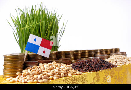 Panama flag waving with stack of money coins and piles of wheat and rice seeds Stock Photo