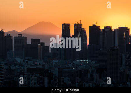 Evening scene,Skyscraper of Shinjuku and Mt Fuji,view from Bunkyo-Ku,Tokyo,Japan Stock Photo