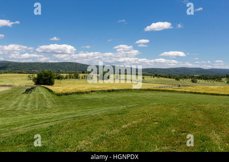 Antietam Battlefield, Maryland, looking Southeast toward Bloody Lane and Observation Tower in the distance. Stock Photo