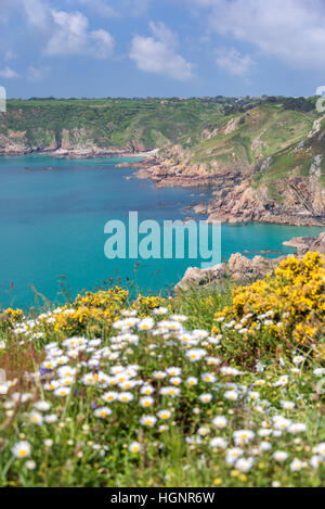 Icart point landscape, Guernsey Stock Photo