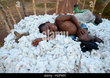 BURKINA FASO, village Soumousso, cotton harvest, children transport