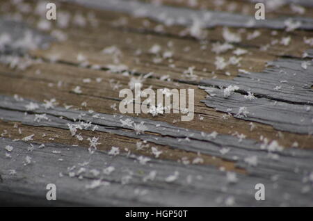 Detailed macro snowflakes on wooden rail with chipped paint