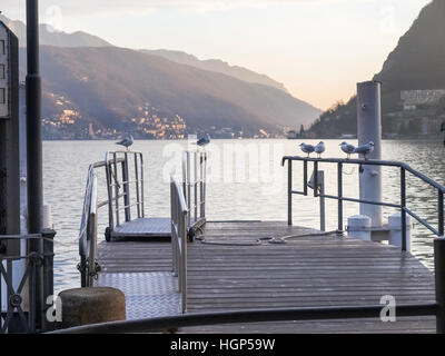 Lugano, Switzerland: gulls resting on the edge of the pier at Lake Lugano Stock Photo